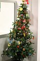 F.Natale 12 (56)